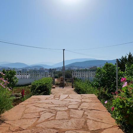 Vila Osmanaj คซามิล ภายนอก รูปภาพ